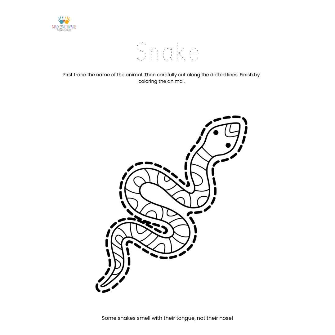 Rainforest Animal Fine Motor Activity Pack Tracing Cutting & Coloring Worksheets
