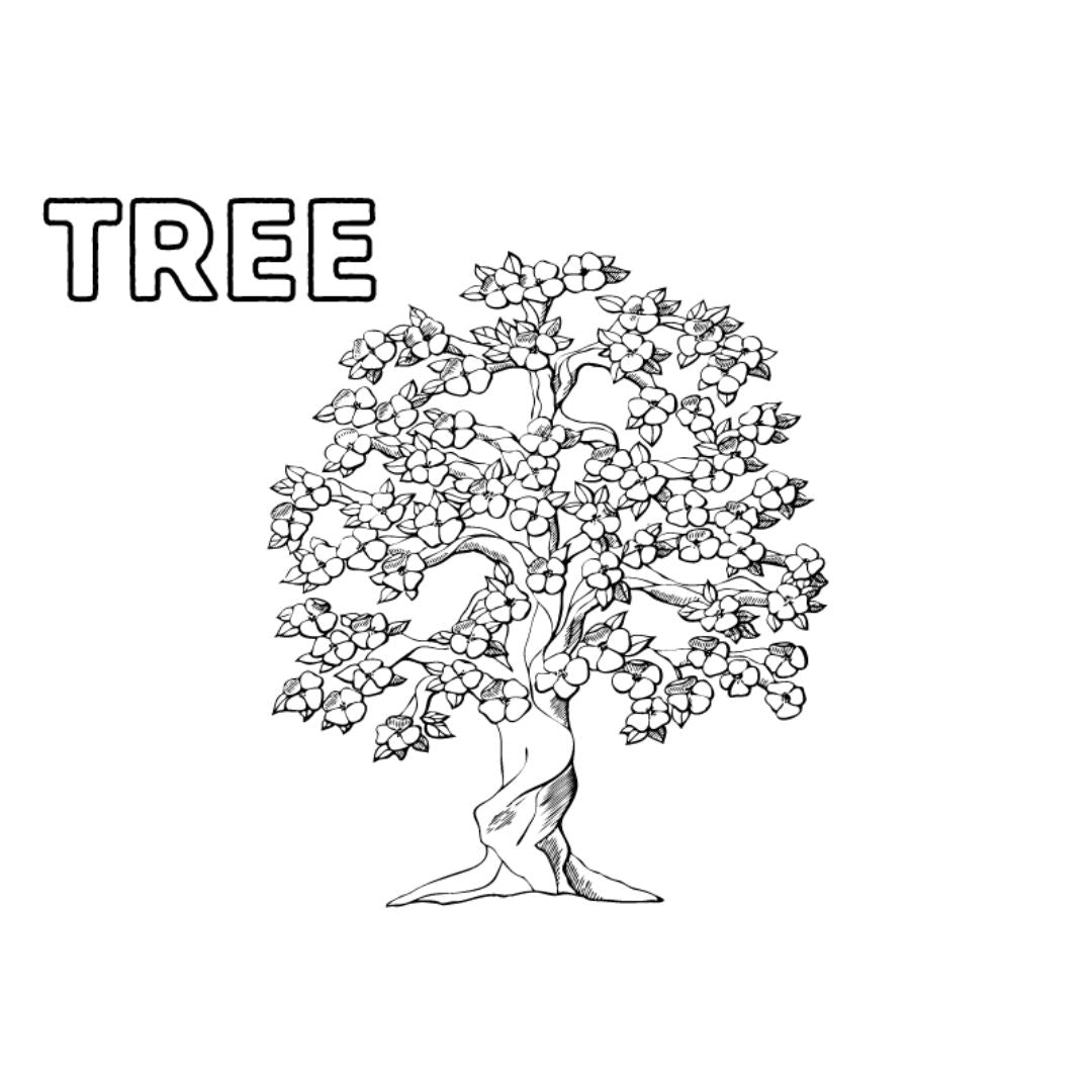 Printable Coloring Pages Set | 5 Fun Everyday Pictures for Kids