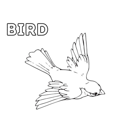 Printable Coloring Pages Set | 5 Fun Everyday Pictures for Kids