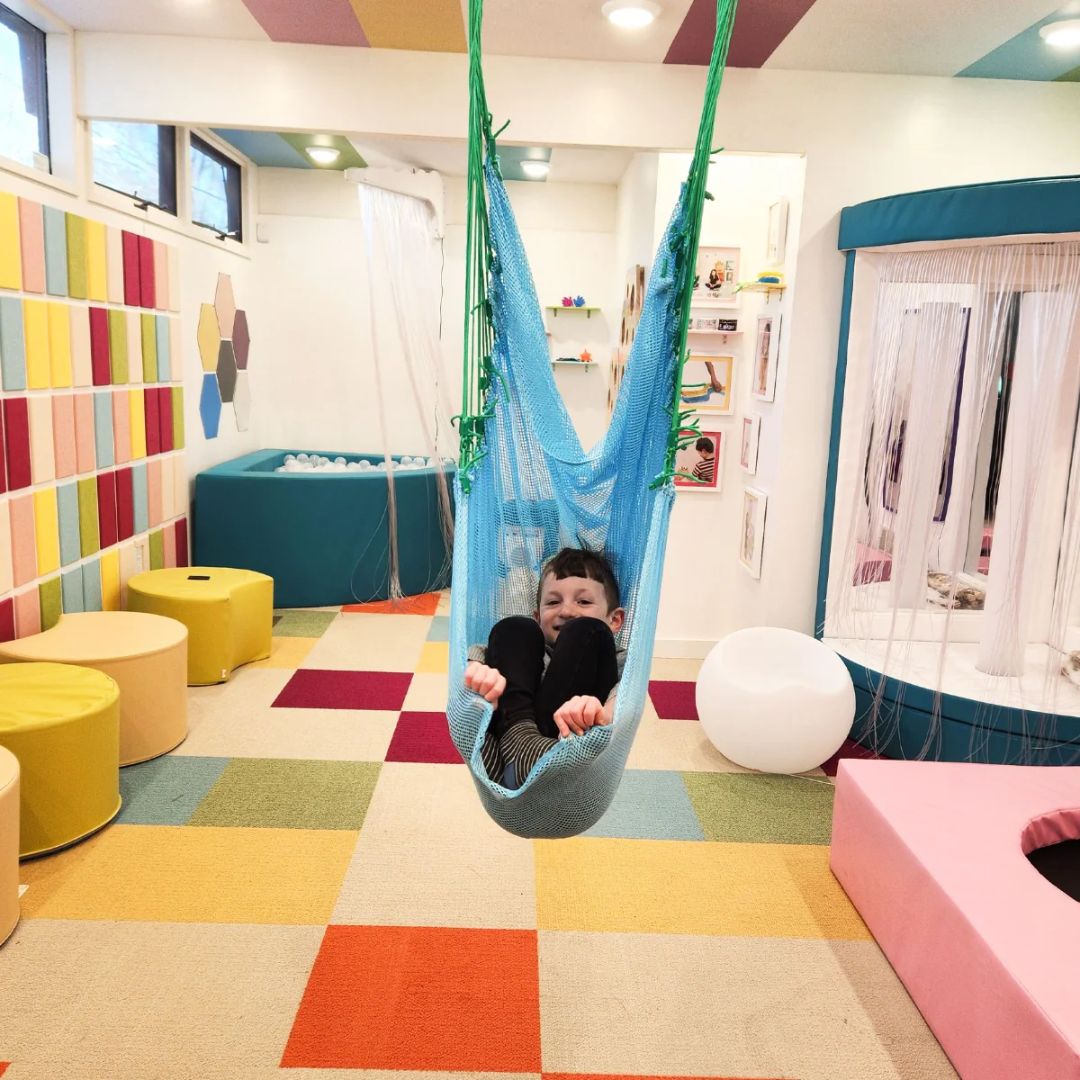Mesh Therapy Swing